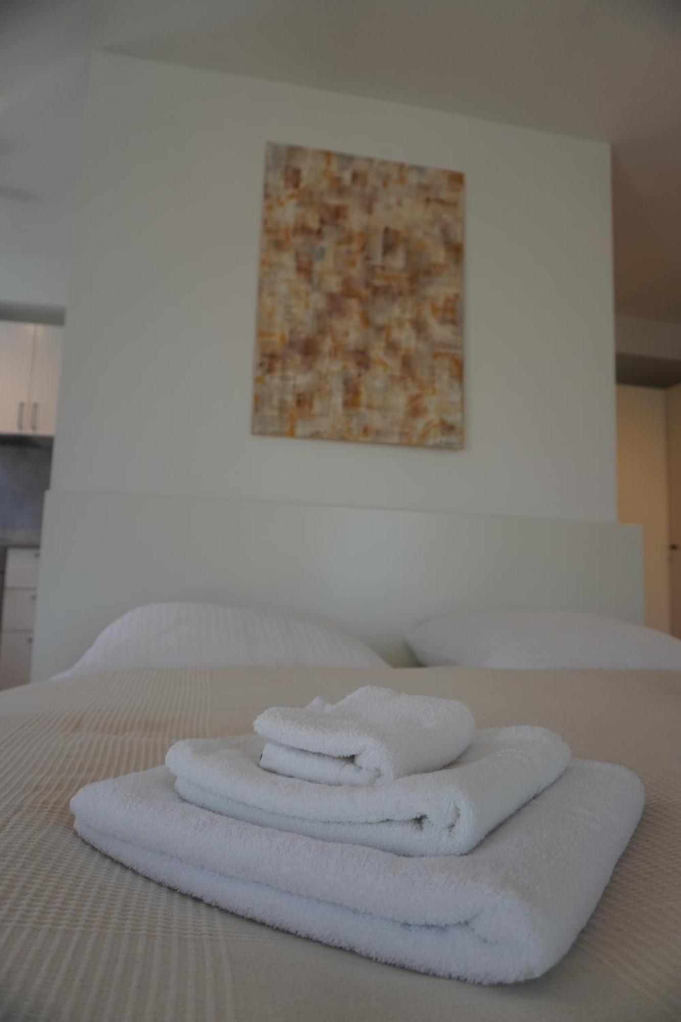 Hb-Living Apartment-Rheinblick マインツ エクステリア 写真