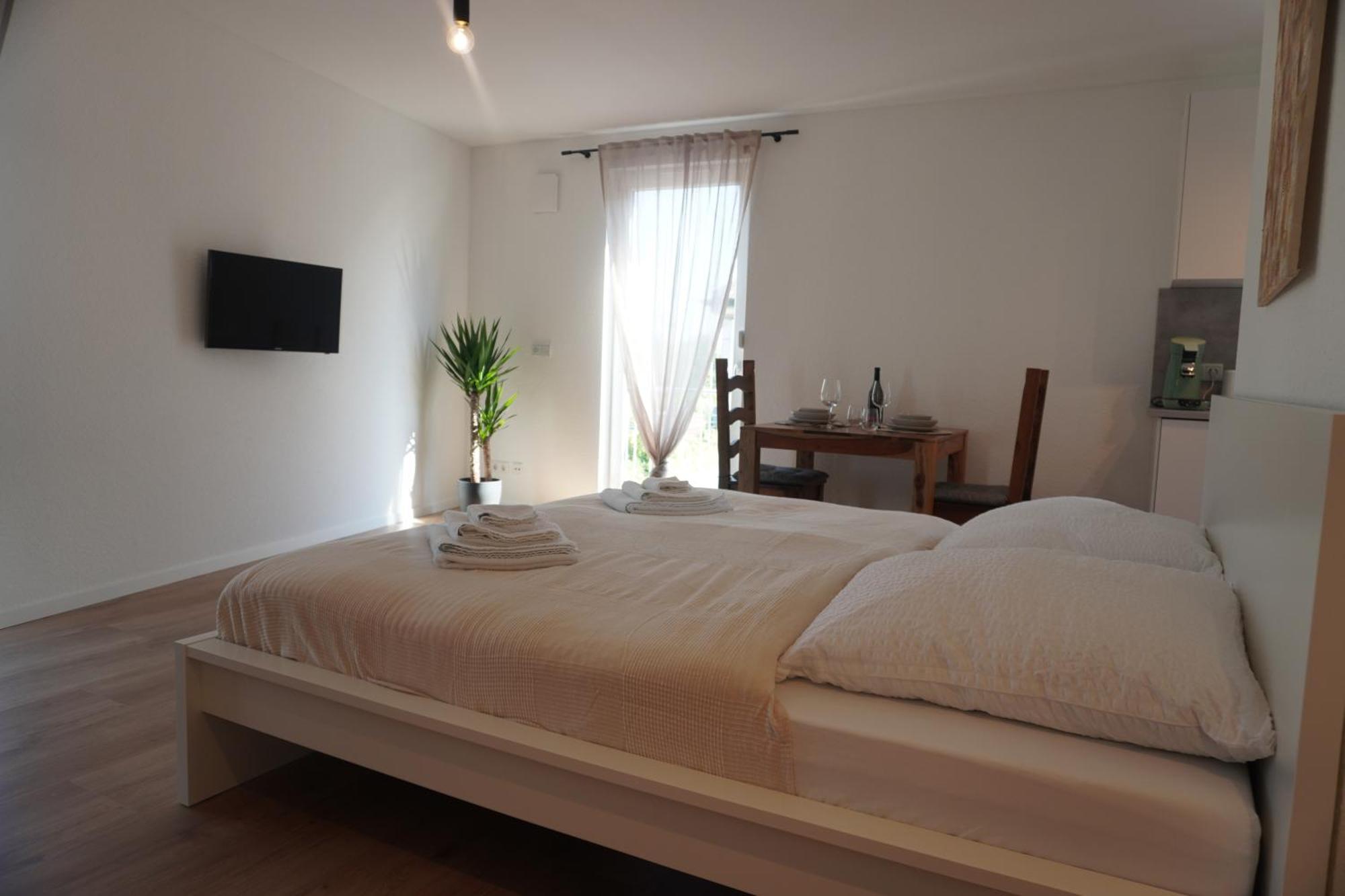 Hb-Living Apartment-Rheinblick マインツ エクステリア 写真